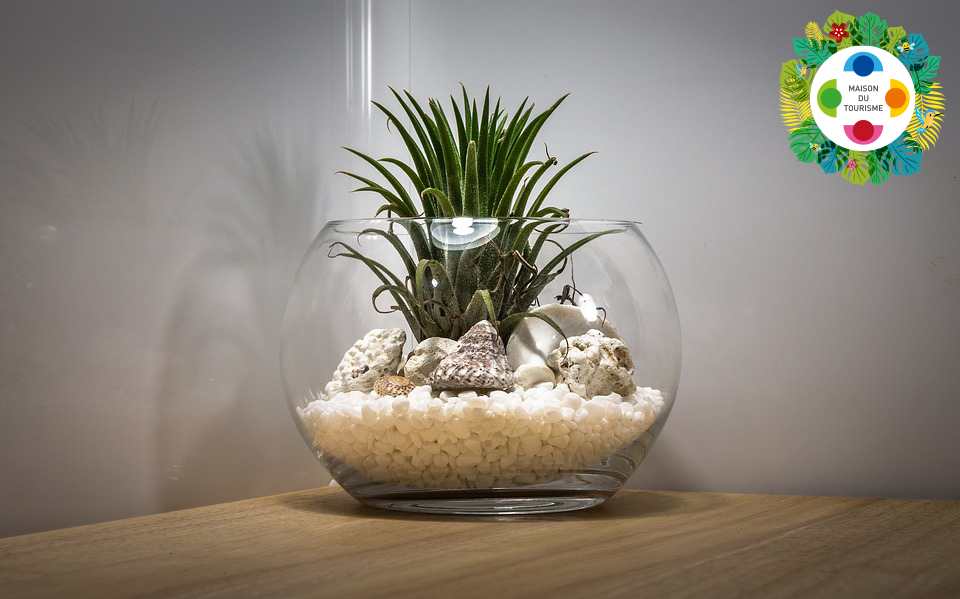 Atelier Terrarium