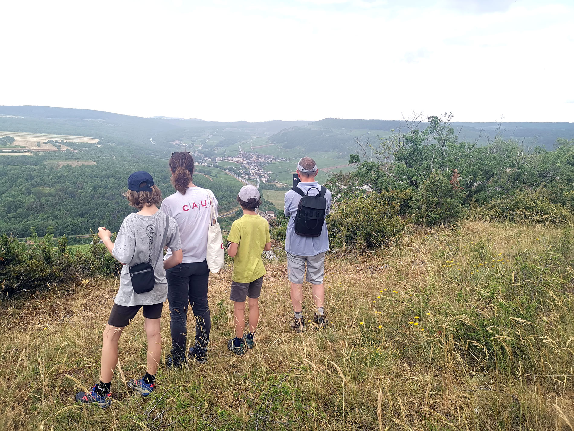 Paysage de combe et viticole sur les hauteurs de Saint-Aubin