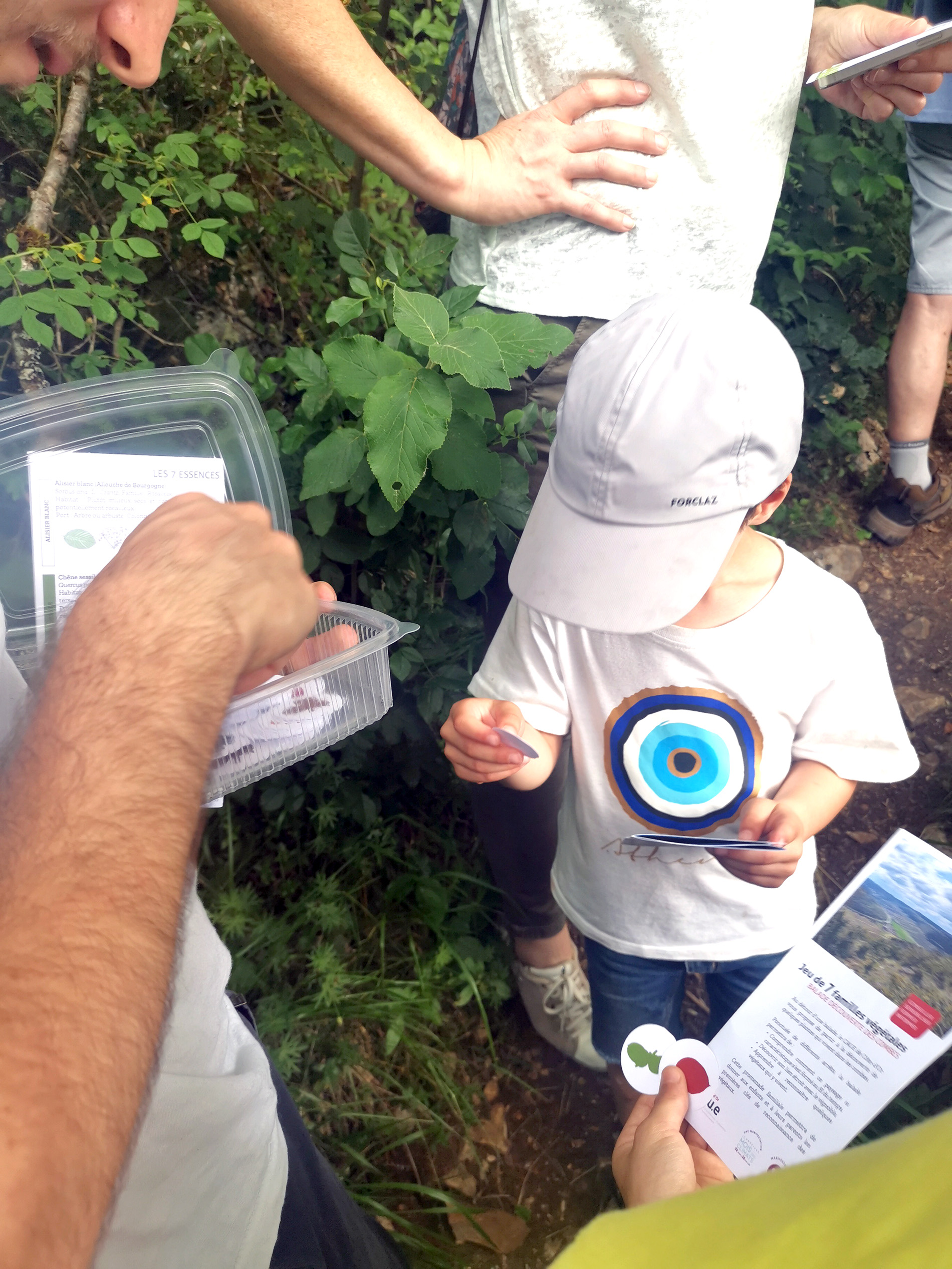 Les vignettes du jeu des 7 familles végétales à récolter