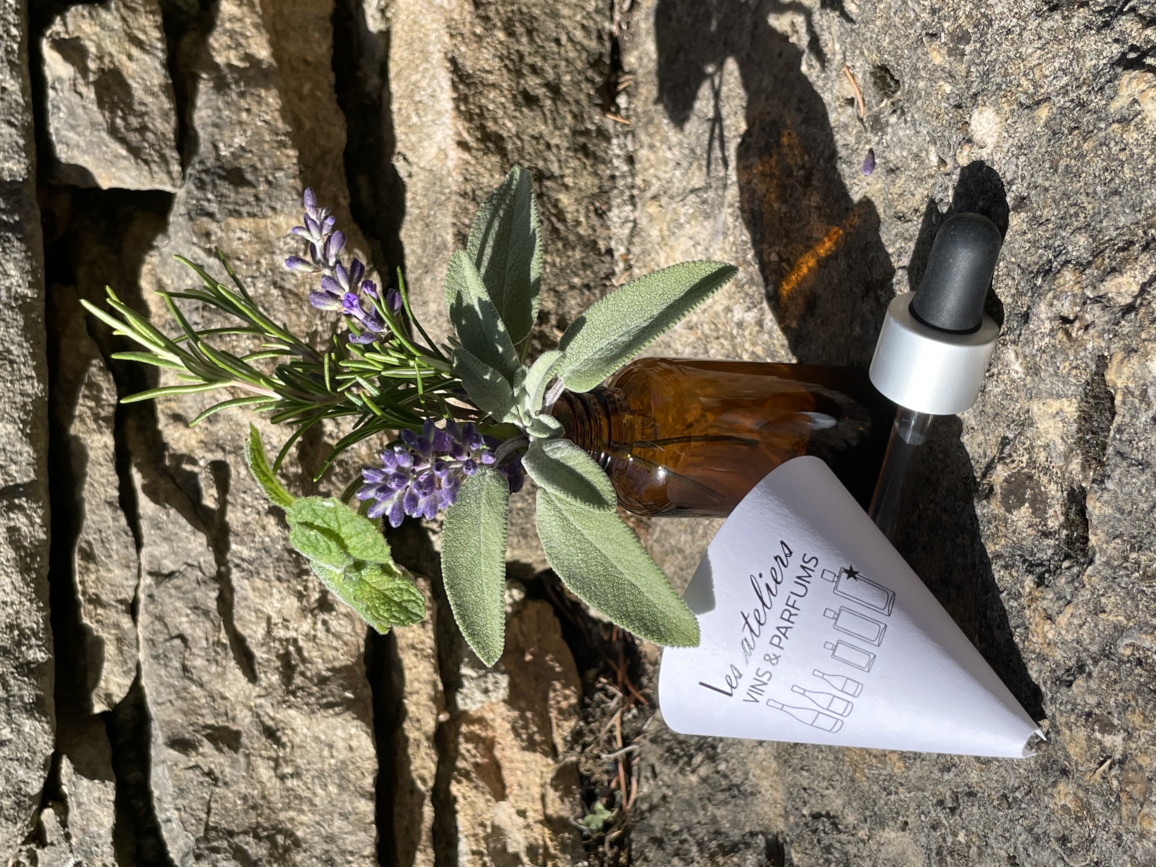 Ateliers Vins & Parfums