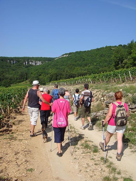 Balades des Grands Crus