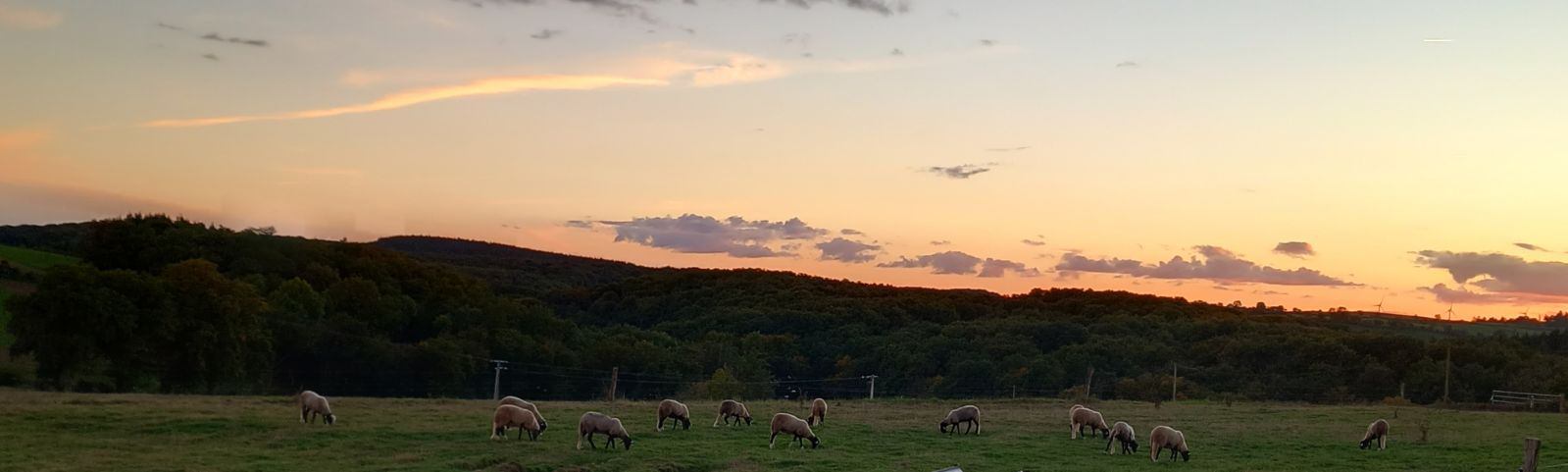 Naturellement visite : Visite de la ferme d'Emilie et Damien DOUHARD