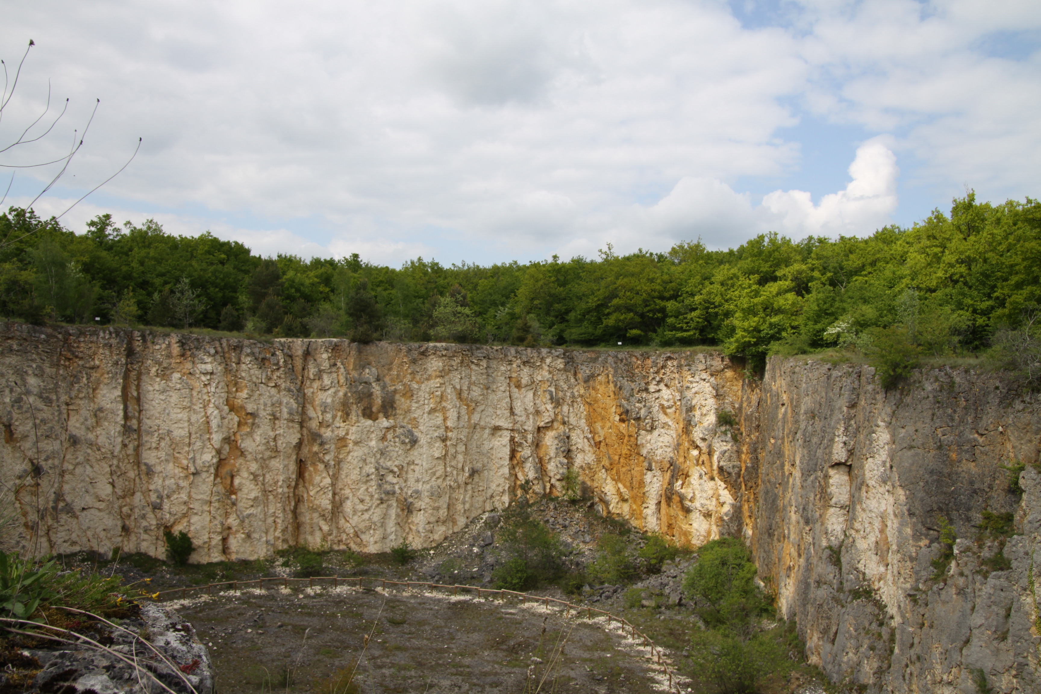 Carrière de la Réserve Naturelle Nationale du Bois du Parc 
