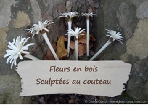 Fleurs en bois