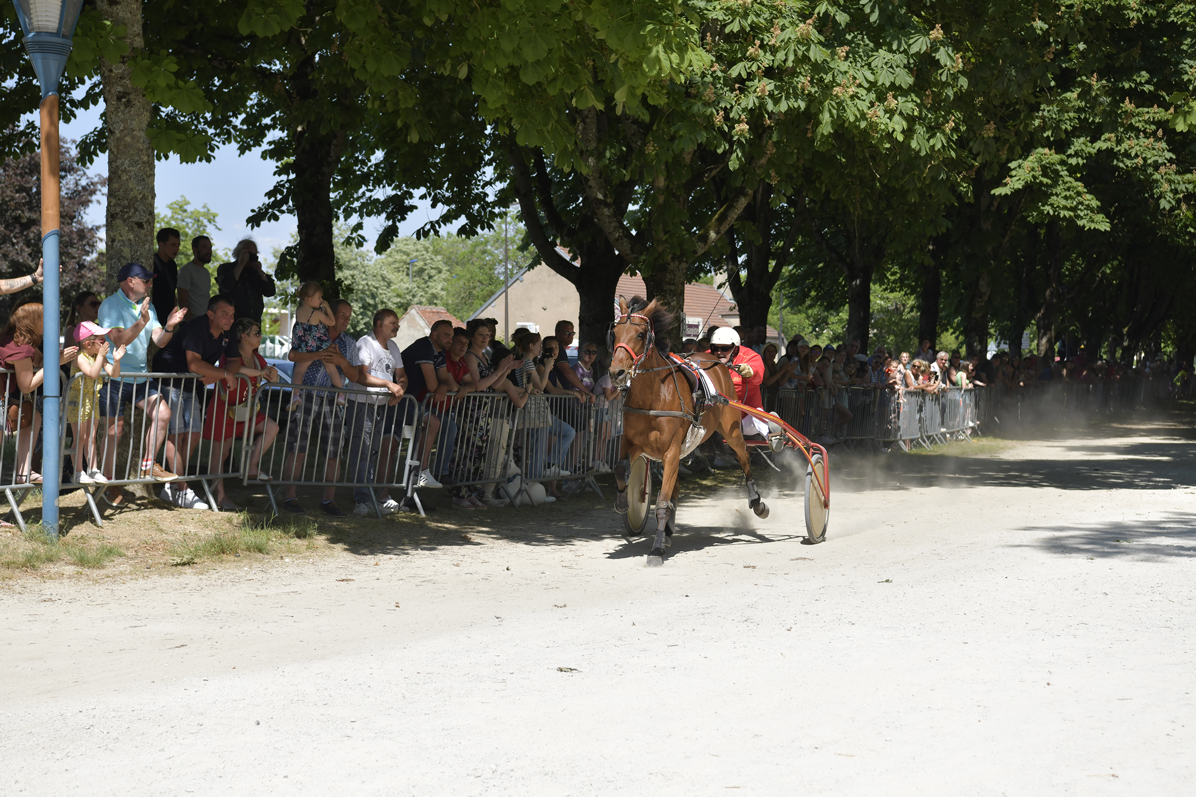 Course à la Timbale - Fêtes de la Bague