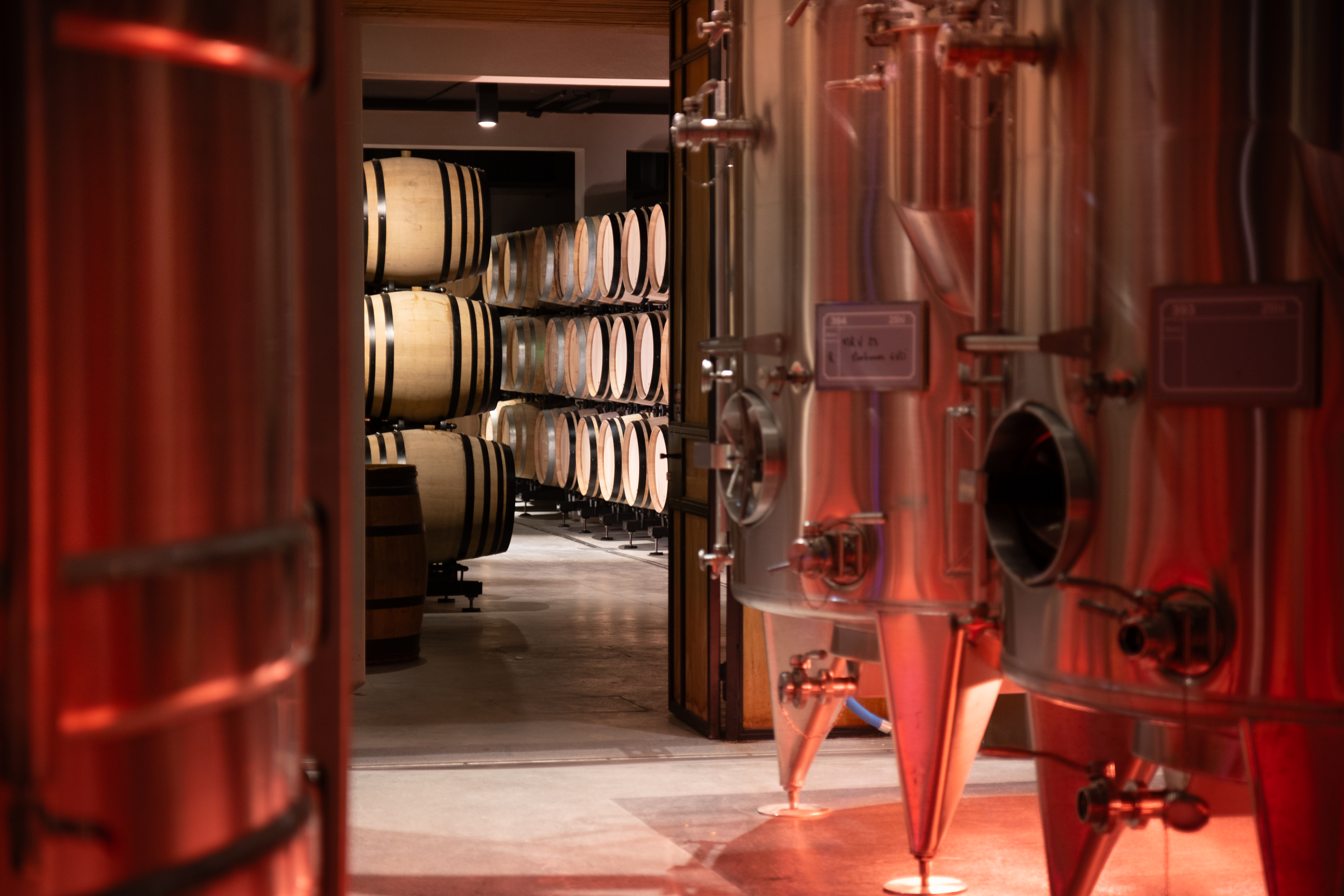 Cuverie des Vignerons des Terres Secrètes