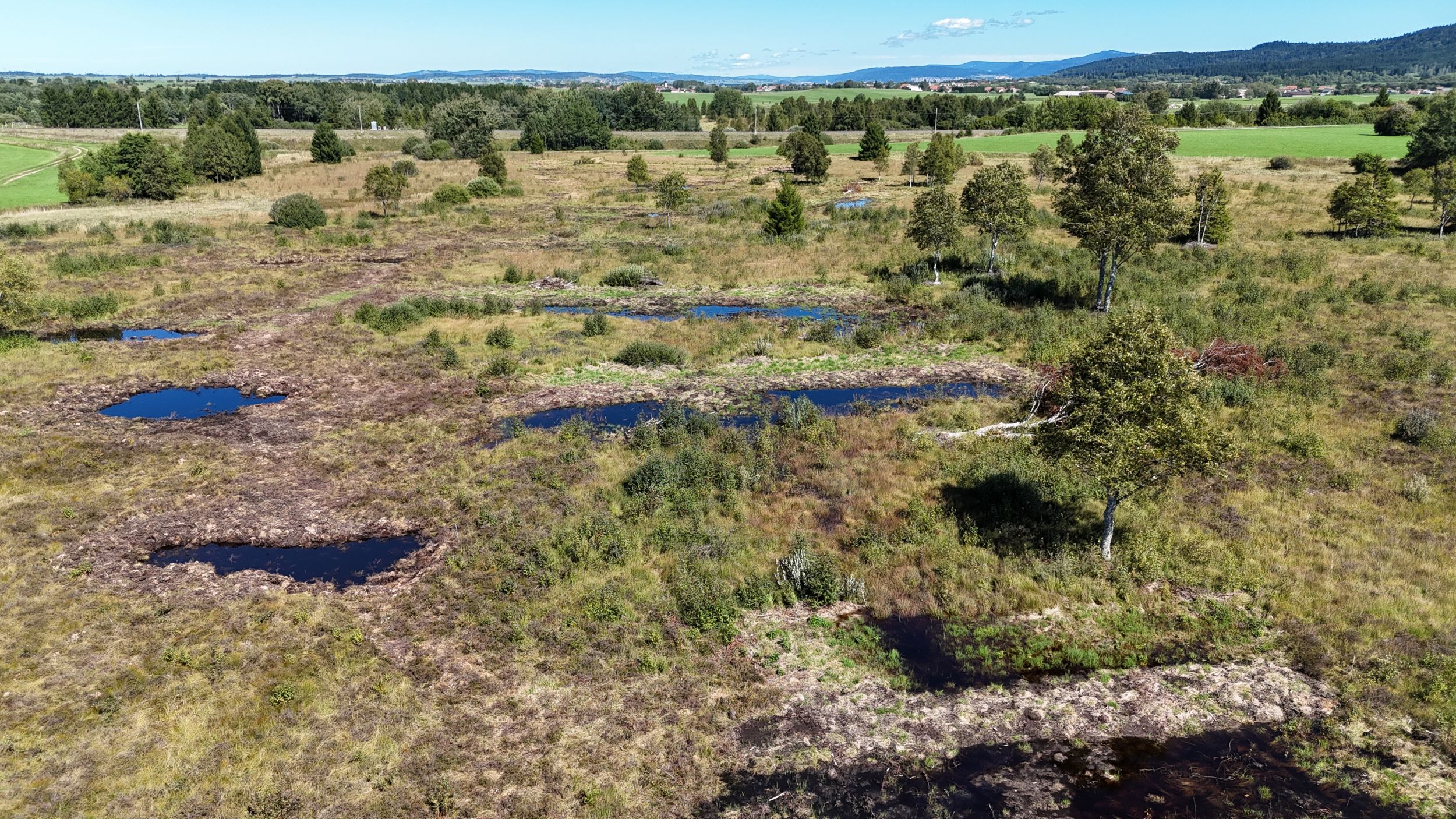 40 ans en réserve naturelle : quelles avancées ?