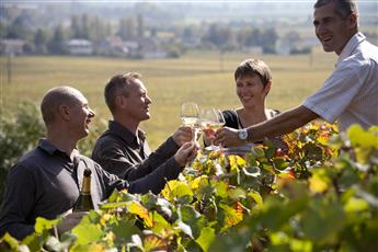 Balade entre vignes et vins