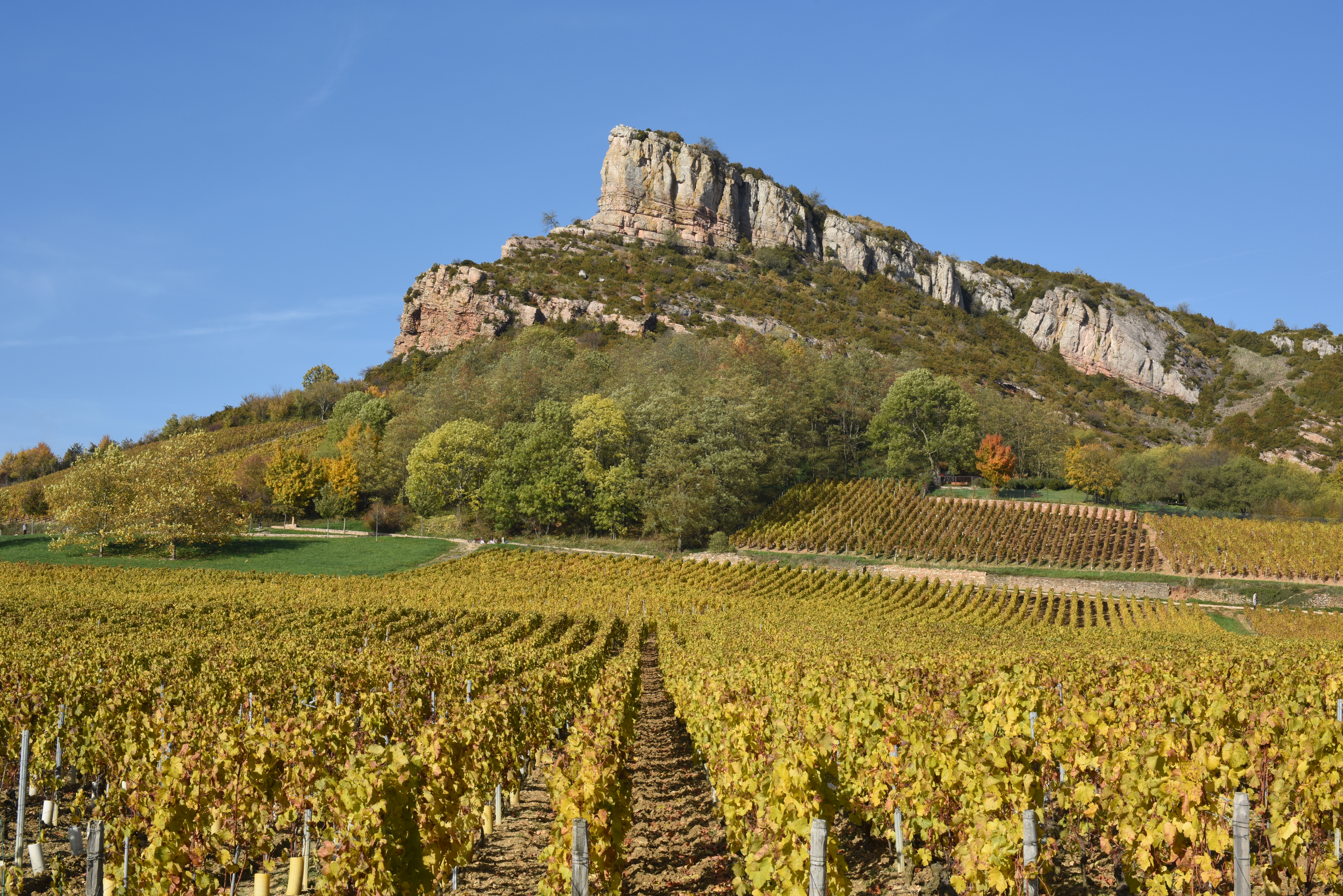 ©Marie Jeandeau-département de saone et loire (1)