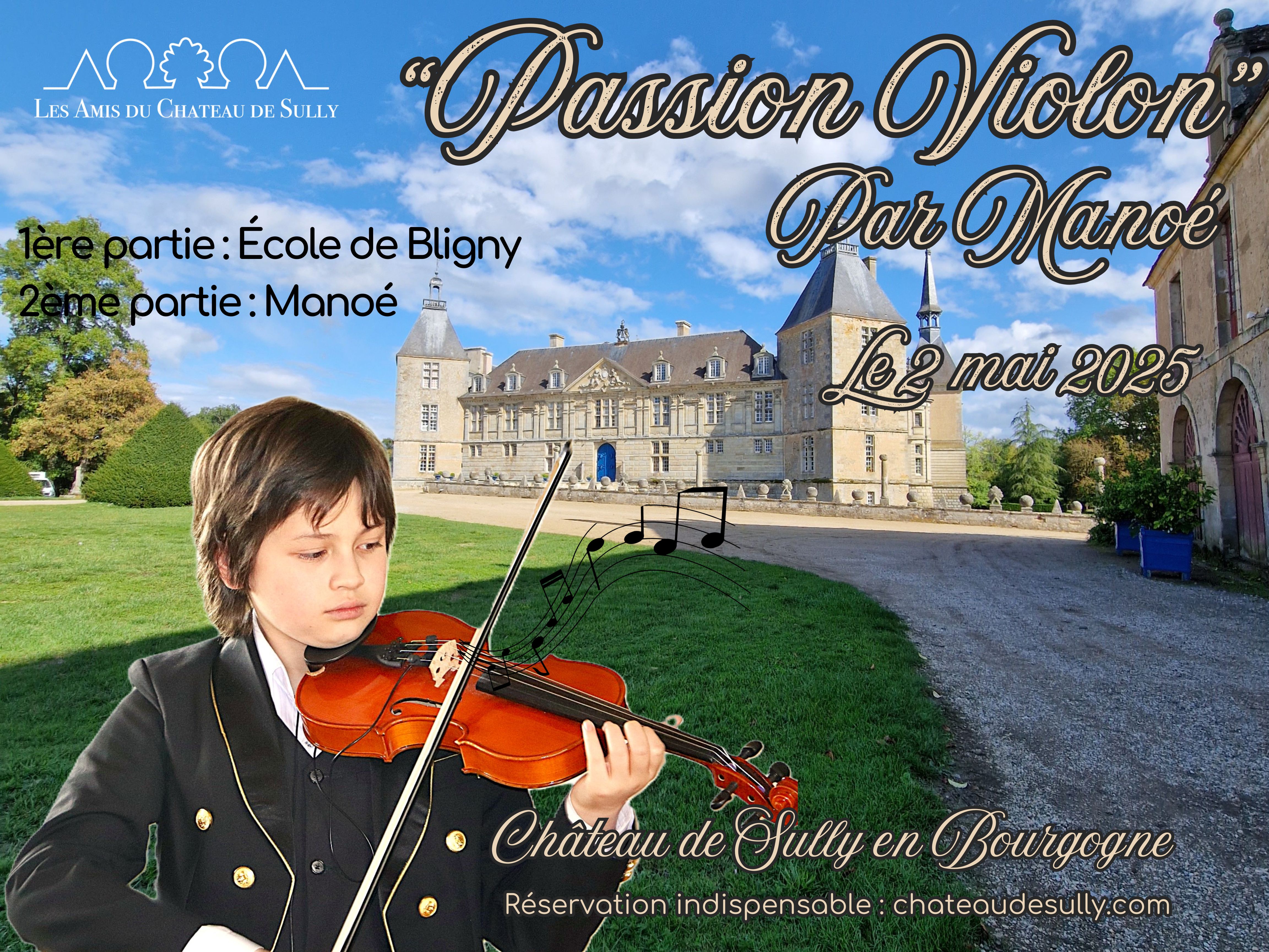 Passion Violon par Manoé