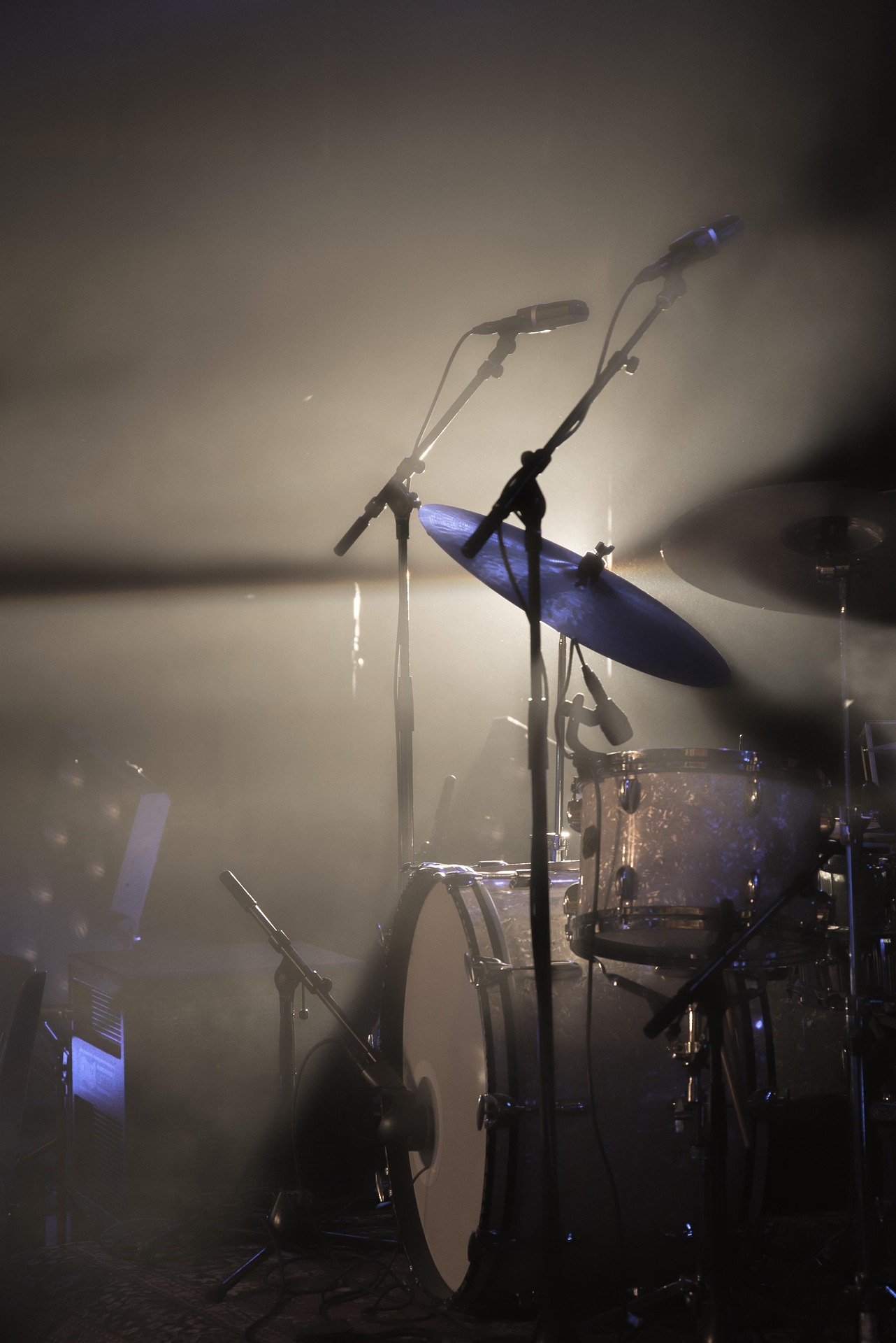 Concerts de Yogui et Bilou Nokemono