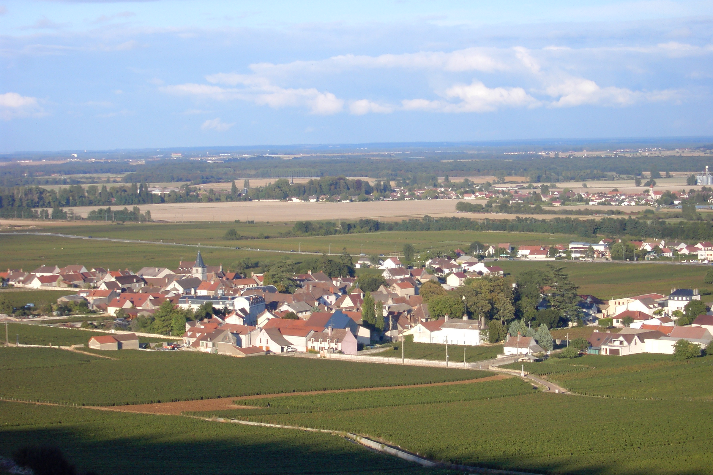002-Vosne-Romanee-2