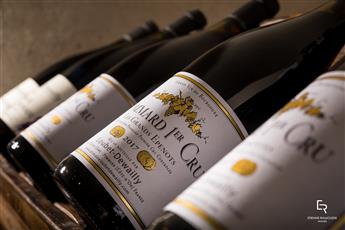 Dégustation spéciale Vente des Vins des Hospices de Beaune - Domaine Loubet-Dewailly