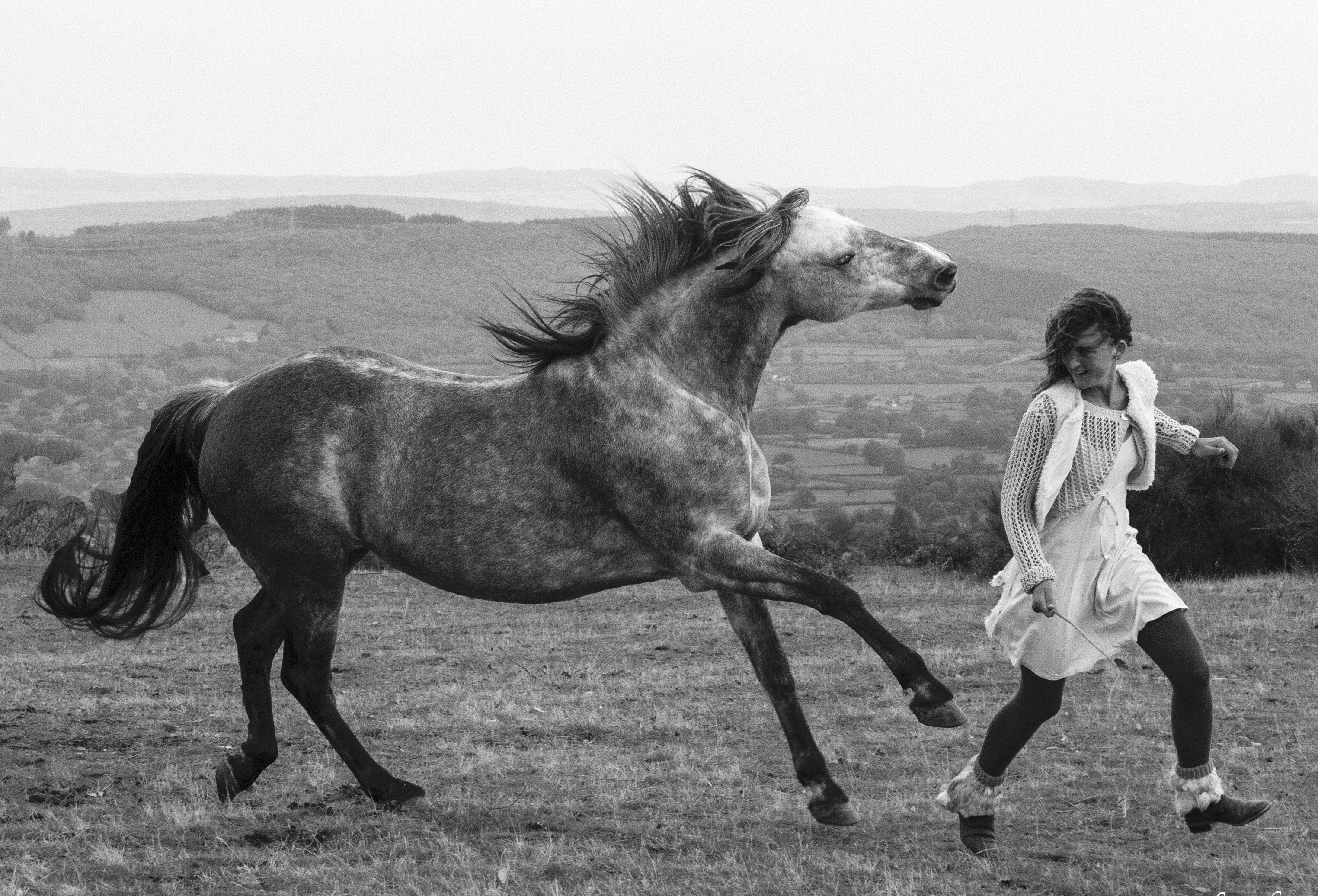 01 Cheveaux celestes - Elzear - Jean-Claude Fourez