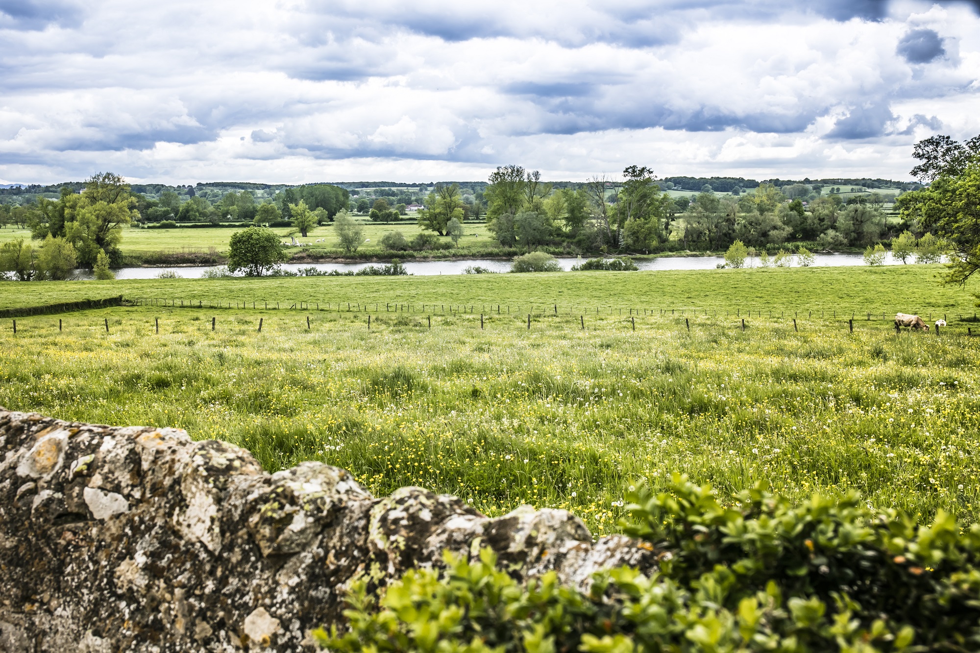 Vue sur la Loire depuis l'église