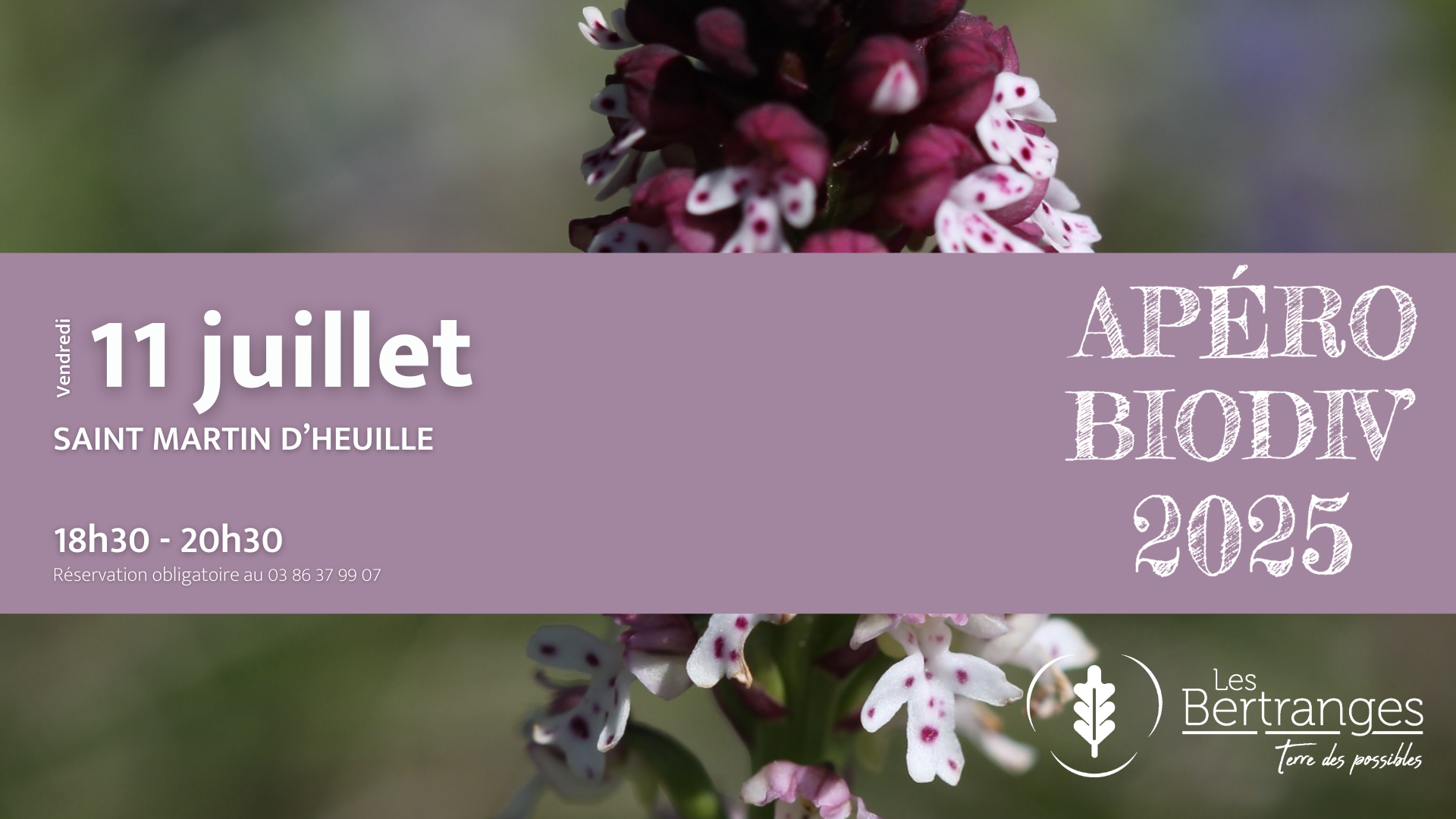 Apéro Biodiv #3 • 11 juillet • Champlemy