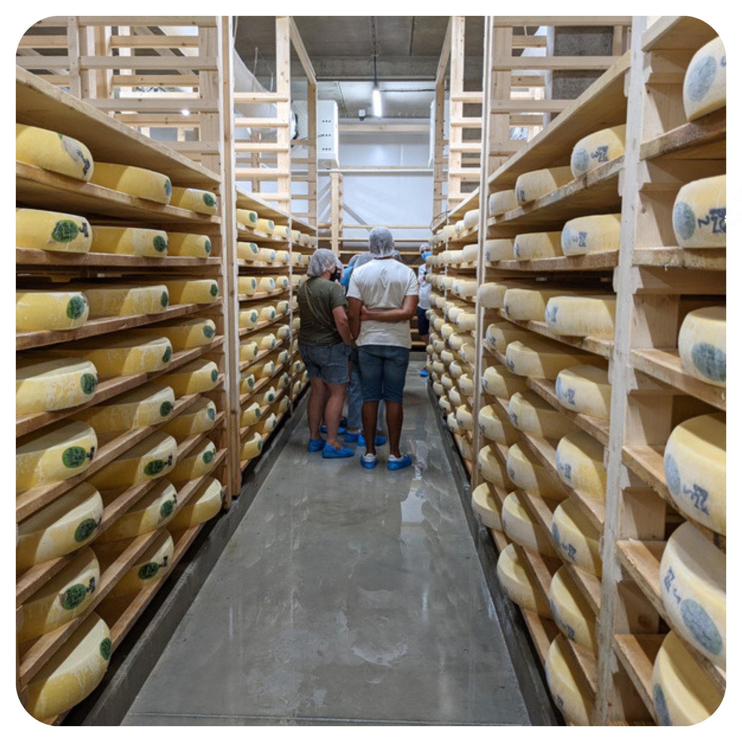 AGENDA - Photos calibrées - 4