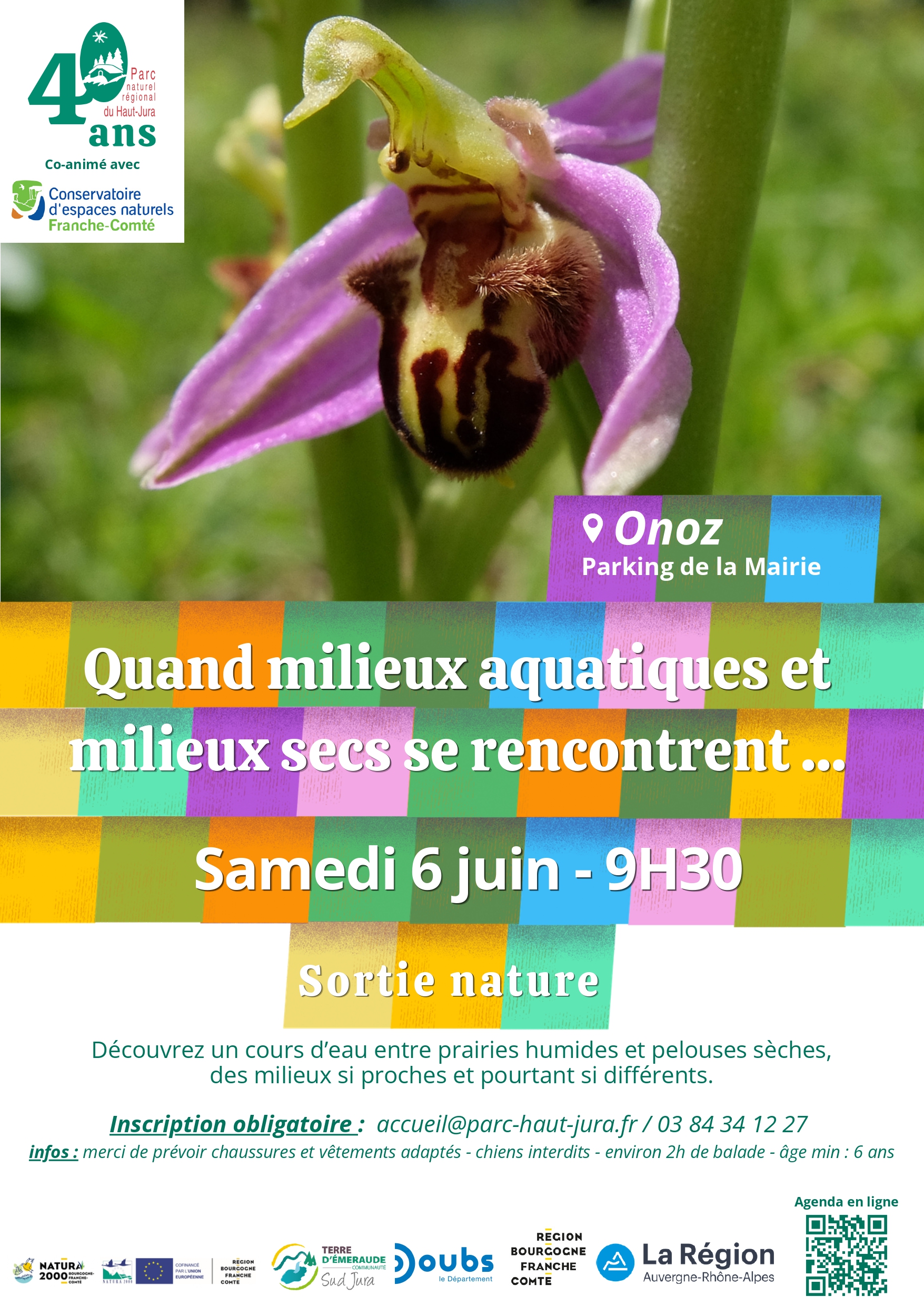Quand milieux aquatiques et milieux secs se rencontrent ...