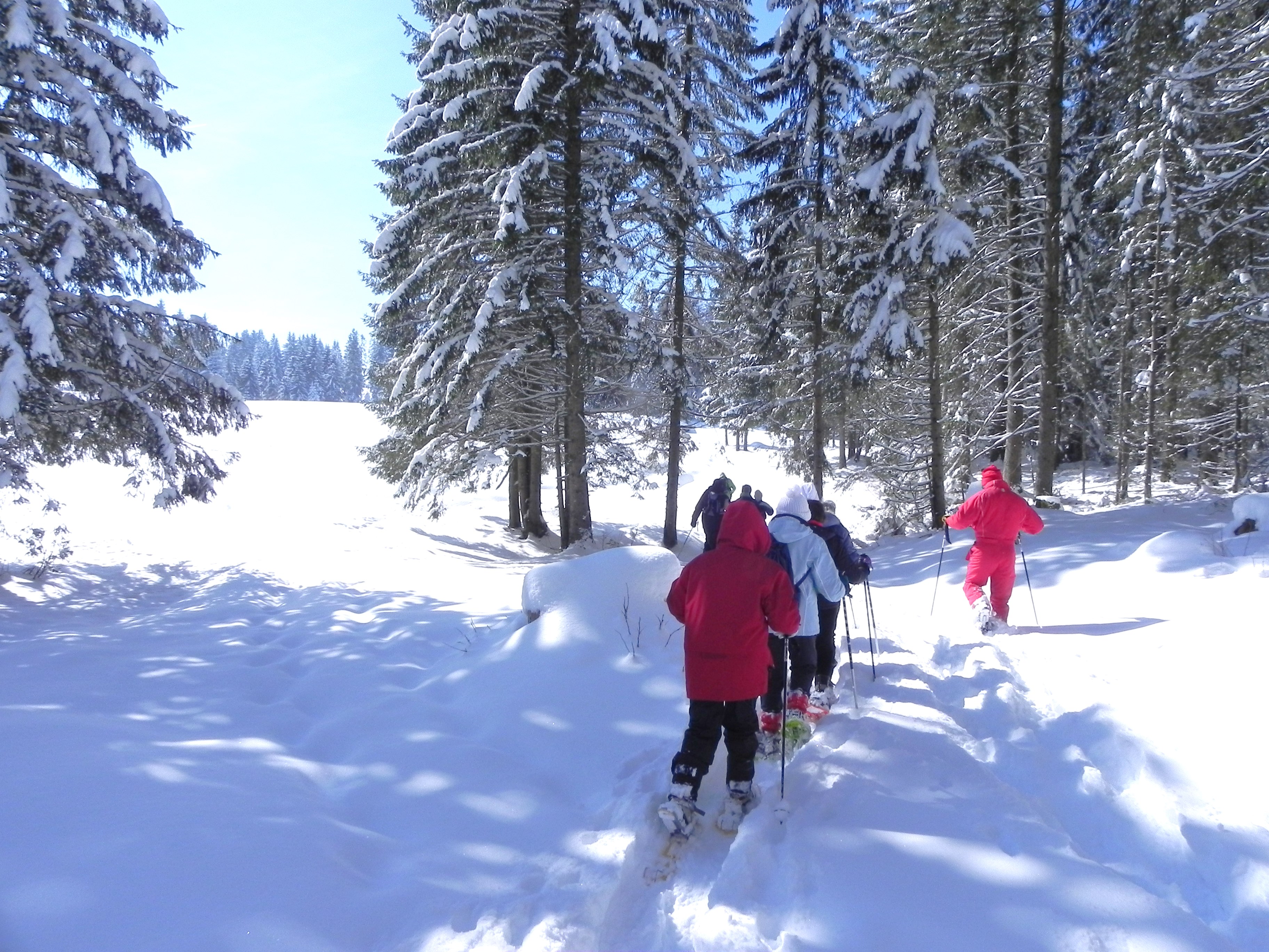 Balade en raquettes dans le Jura