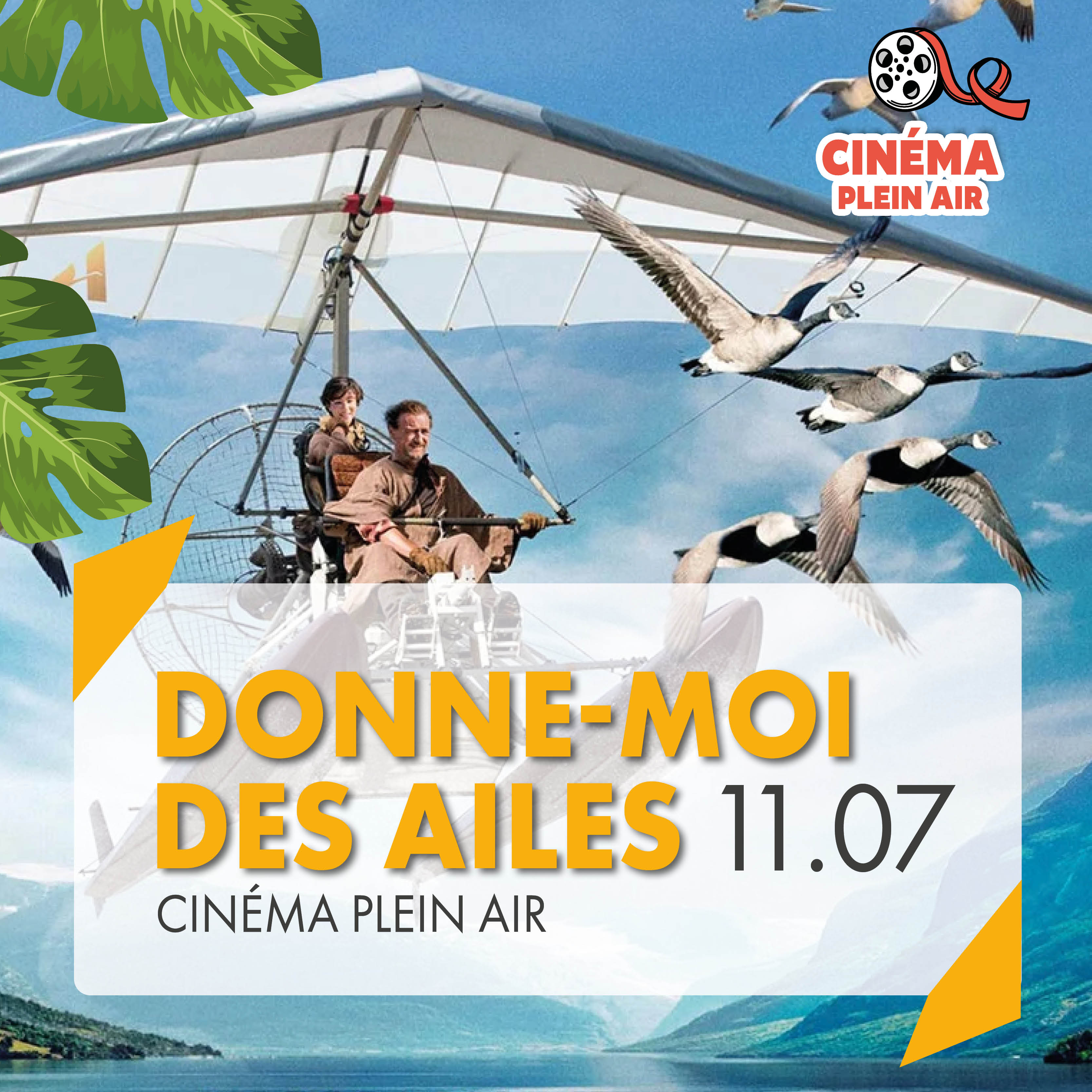 Donne moi des ailes