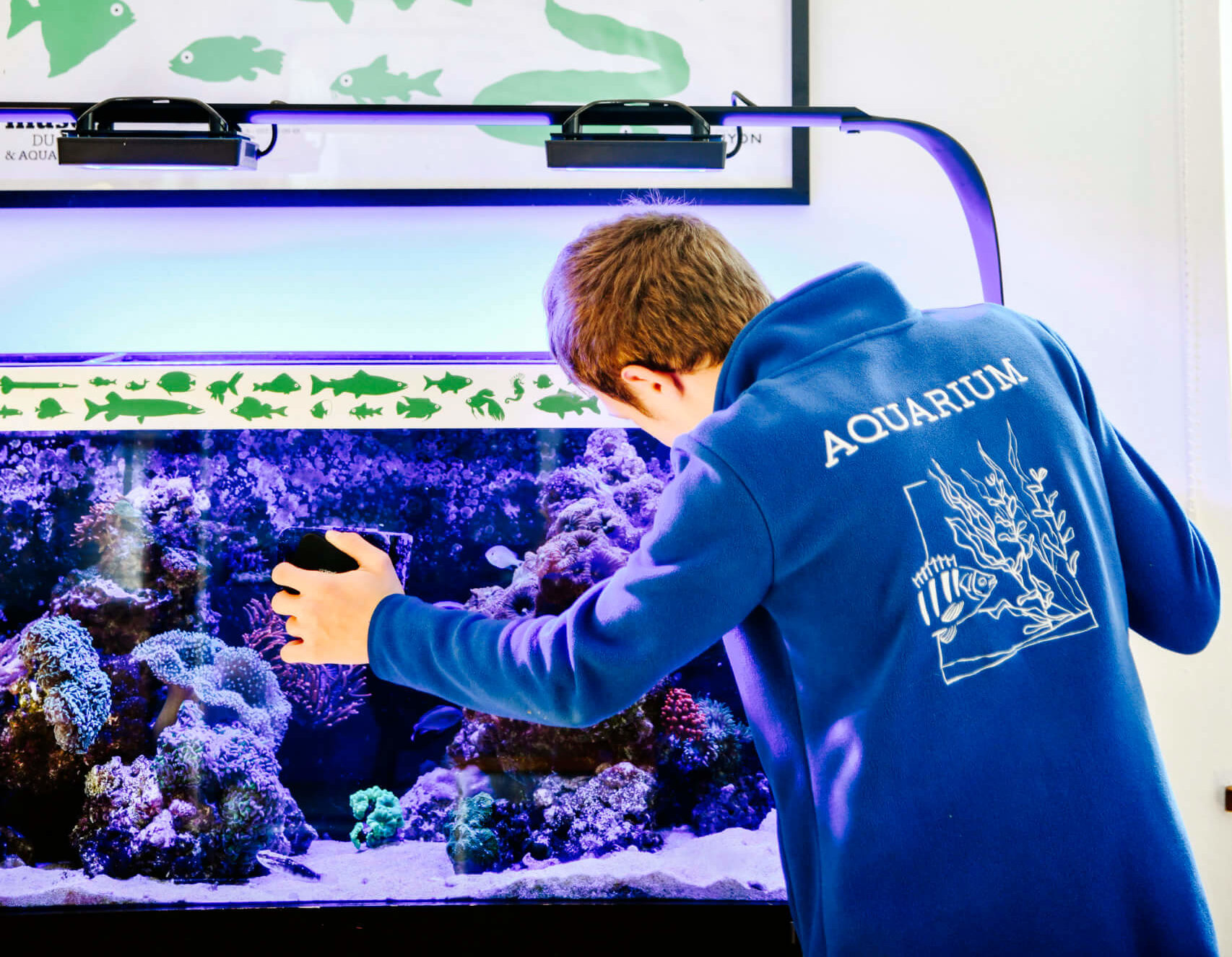 Les petits experts: un aquarium chez toi