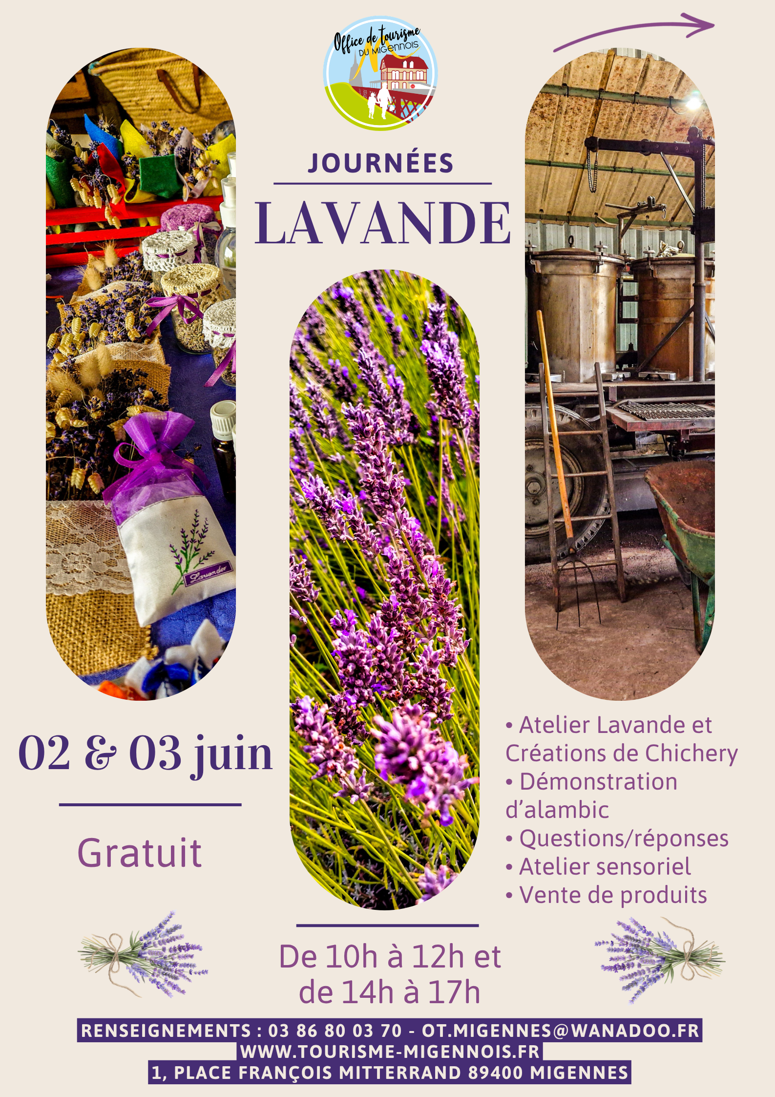 Journées Lavande