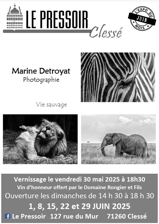Exposition au Pressoir