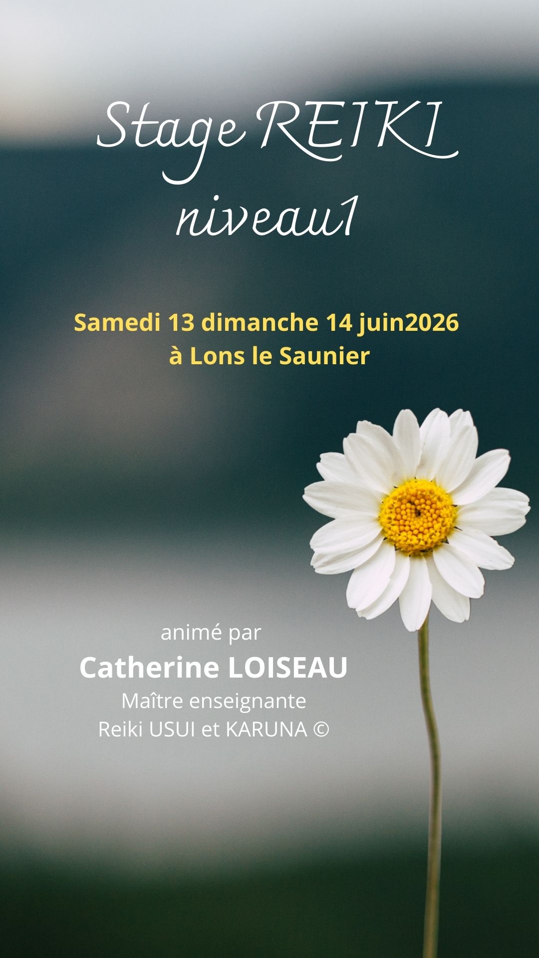 Média additionnel 1