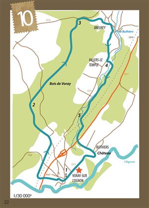 Des sous-bois à la rivière de l'Ognon