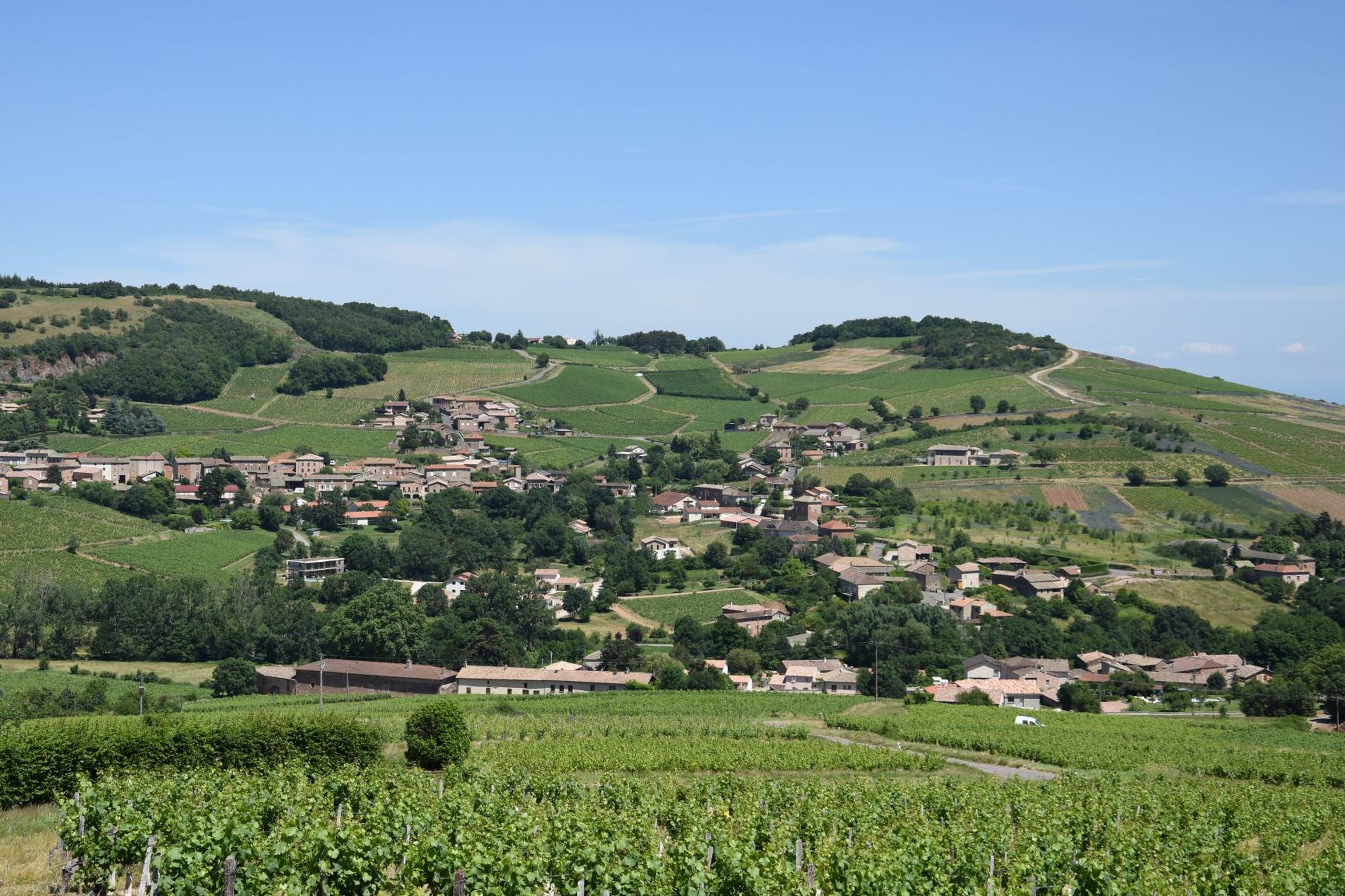 S'émerveiller au bois de fée