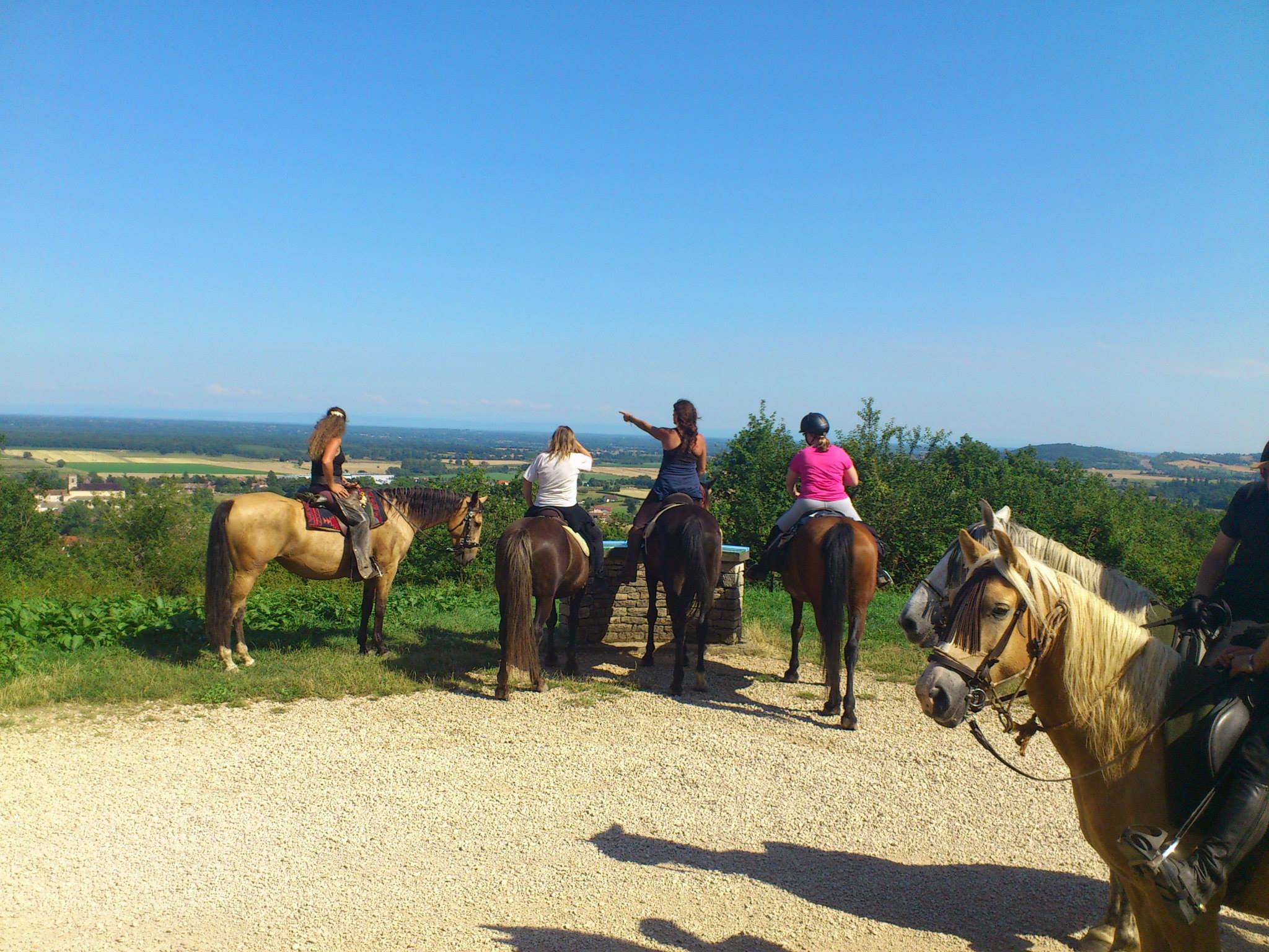 promenades à cheval