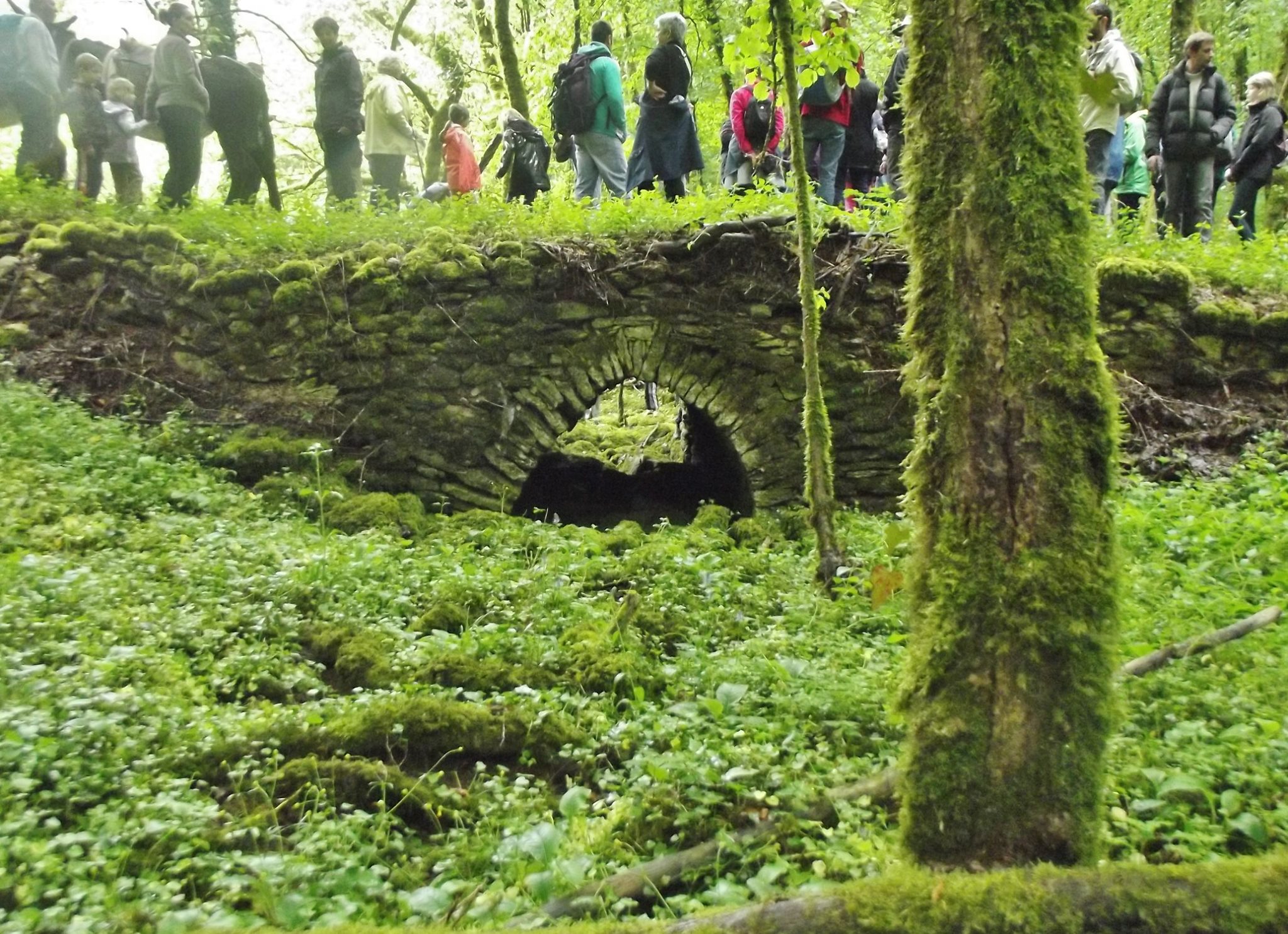 Sentier des Légendes 