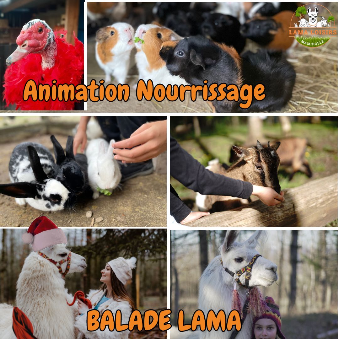 Animation Nourrissage 