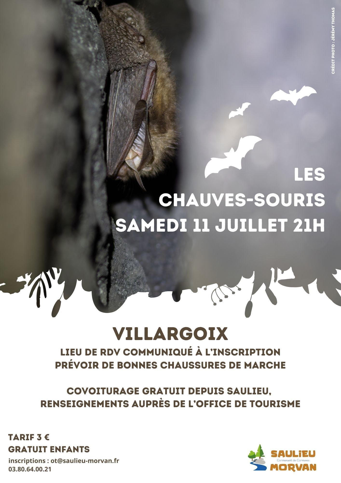 Sortie nature Villargoix