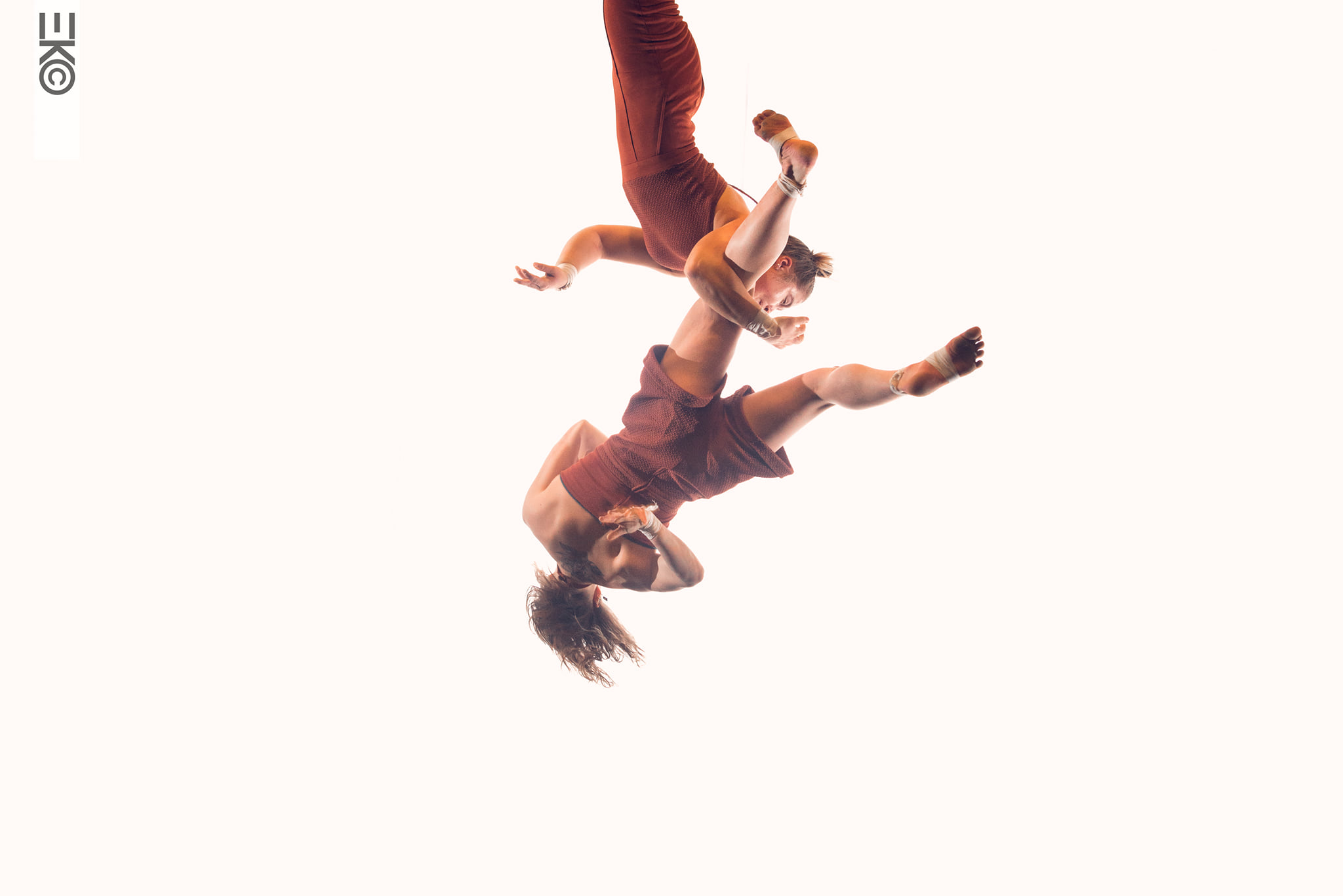 Cirque : Ce qui fleurit dans le silence