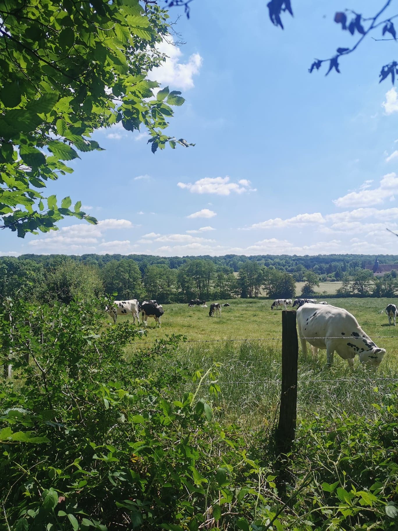 RANDONNÉE PRIVÉE ENTRE SAINT-SAUVEUR ET MOUTIERS