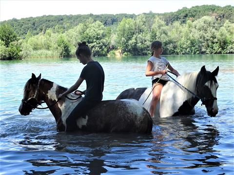 Centre équestre Le Bois d'Ambre
