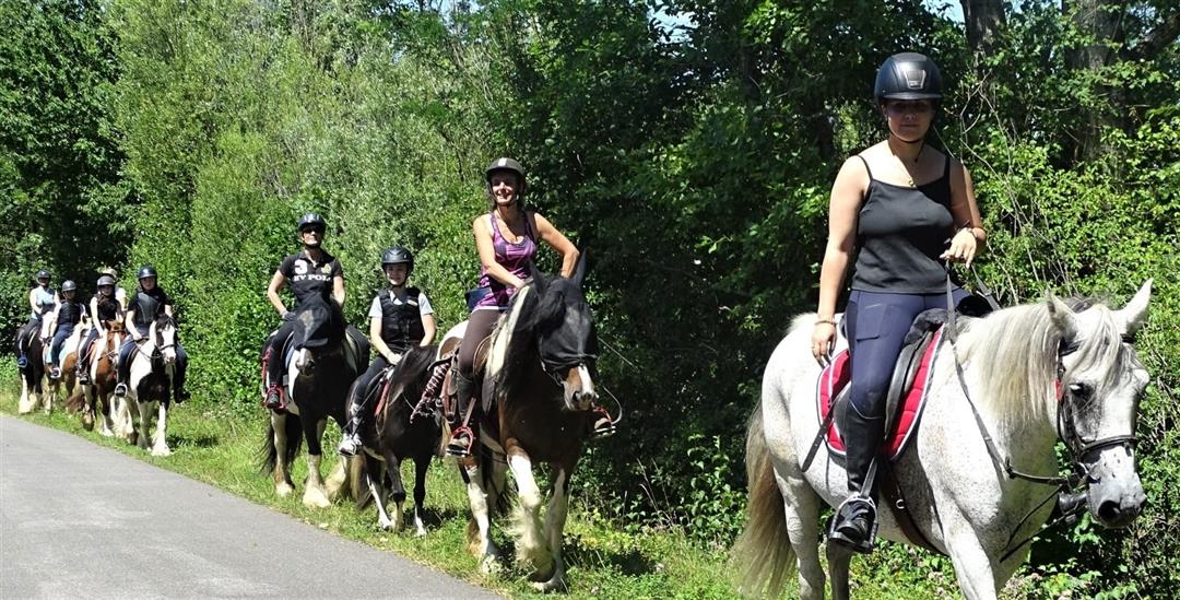 Centre équestre Le Bois d'Ambre