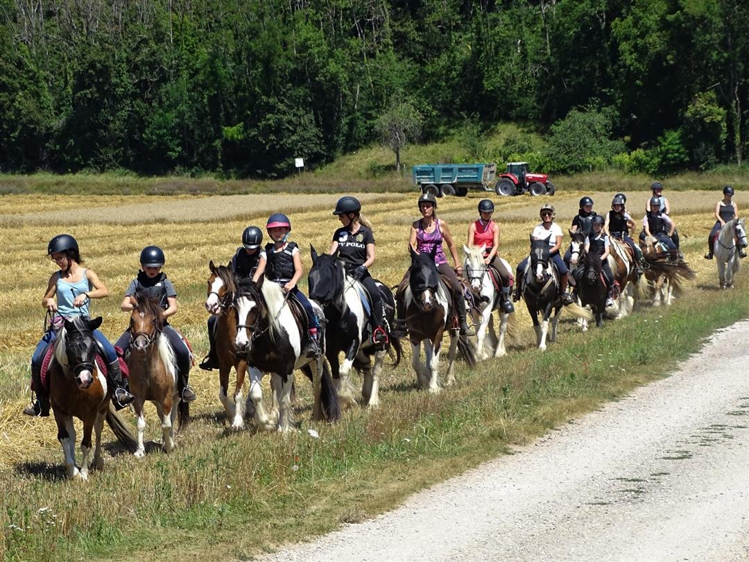 Centre équestre Le Bois d'Ambre