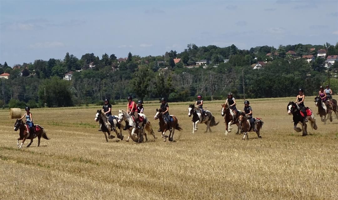 Centre équestre Le Bois d'Ambre