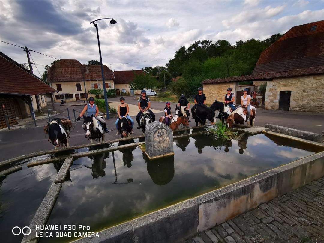 Centre équestre Le Bois d'Ambre