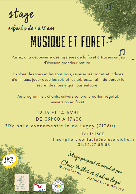 12-14 - stage musique et foret