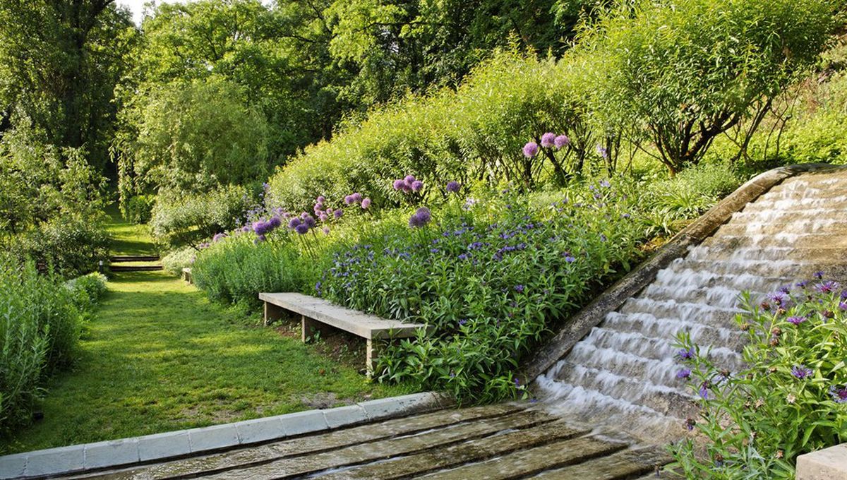 Jardin