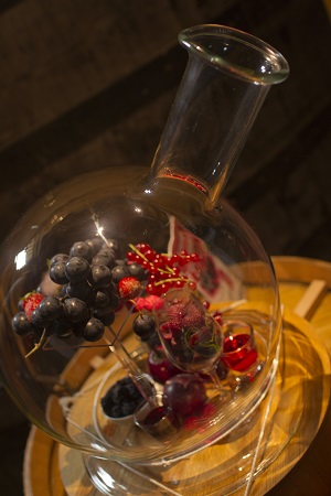 Livres en Vignes 2012
