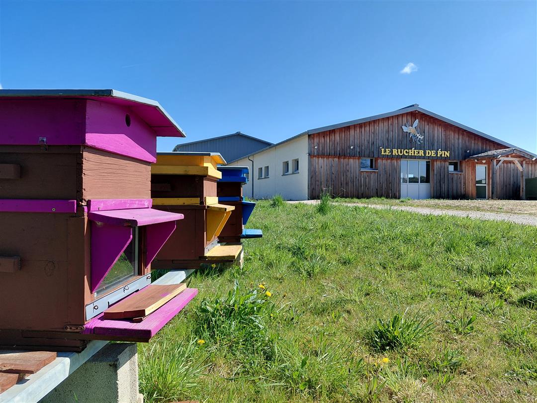 Le Rucher de Pin