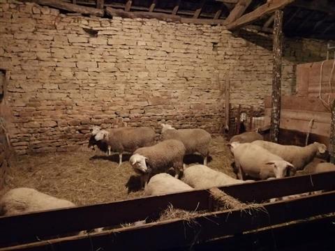 La Bergerie des Hirondelles