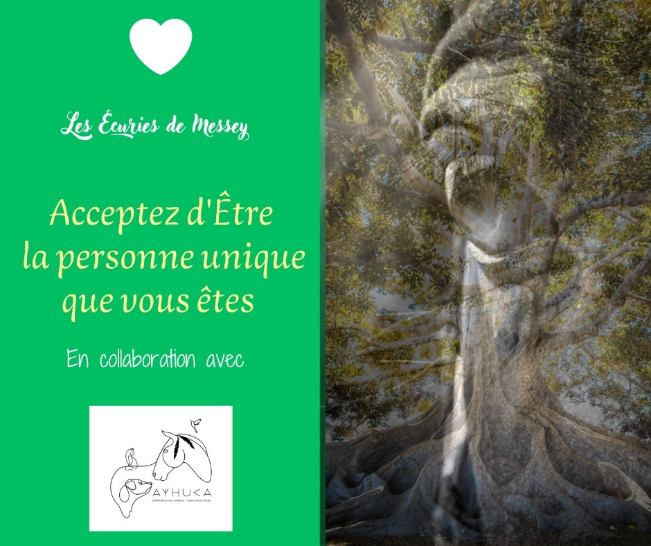 S'ANCRER DANS SON CORPS