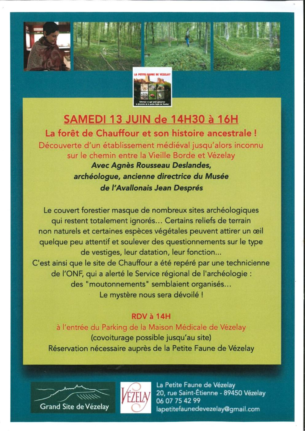 La forêt de Chauffour et son histoire ancestrale !