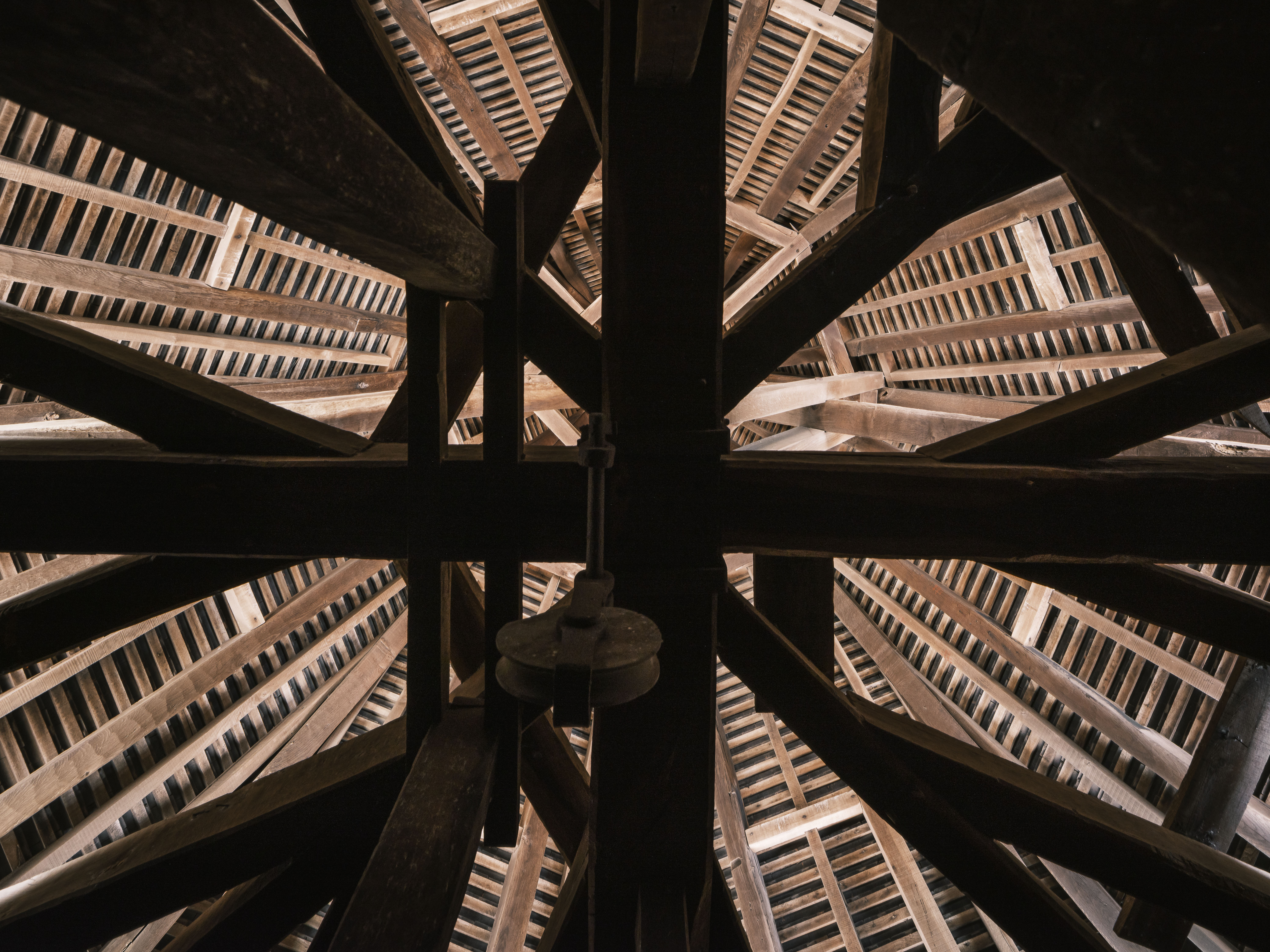 Exposition : Sous les toits des cathédrales