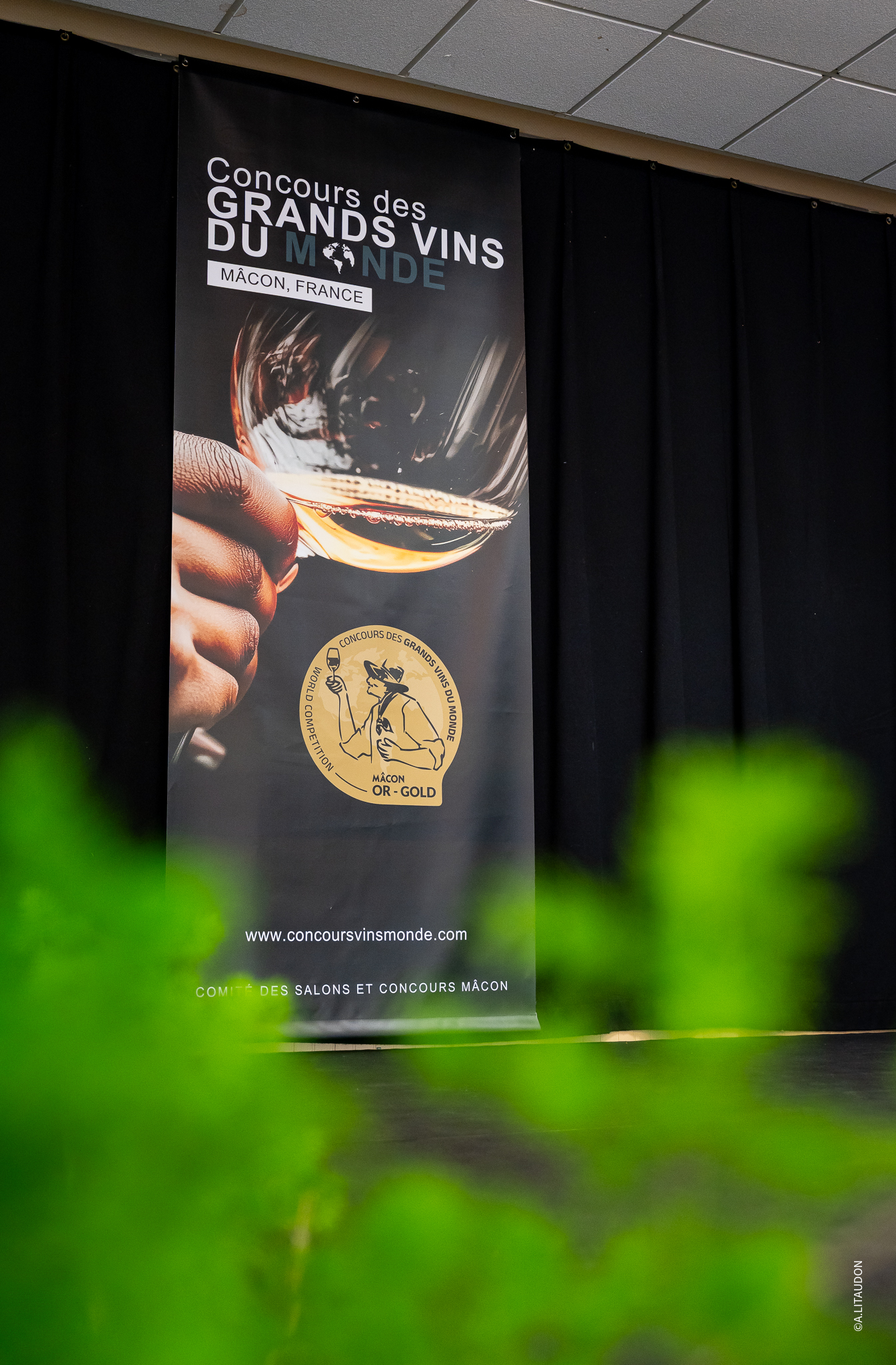 Concours des Grands Vins du Monde
